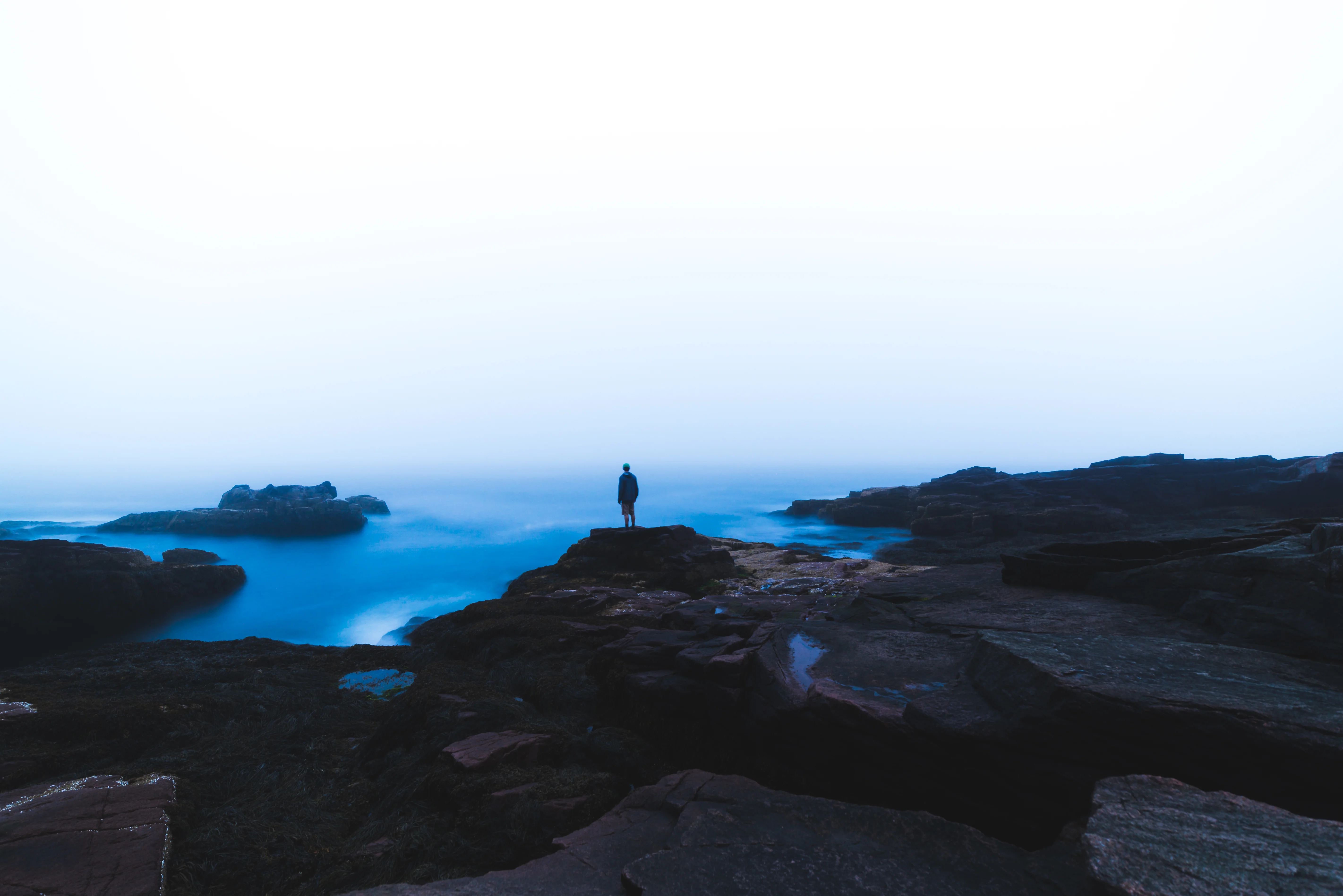 Acadia Blue Portrait