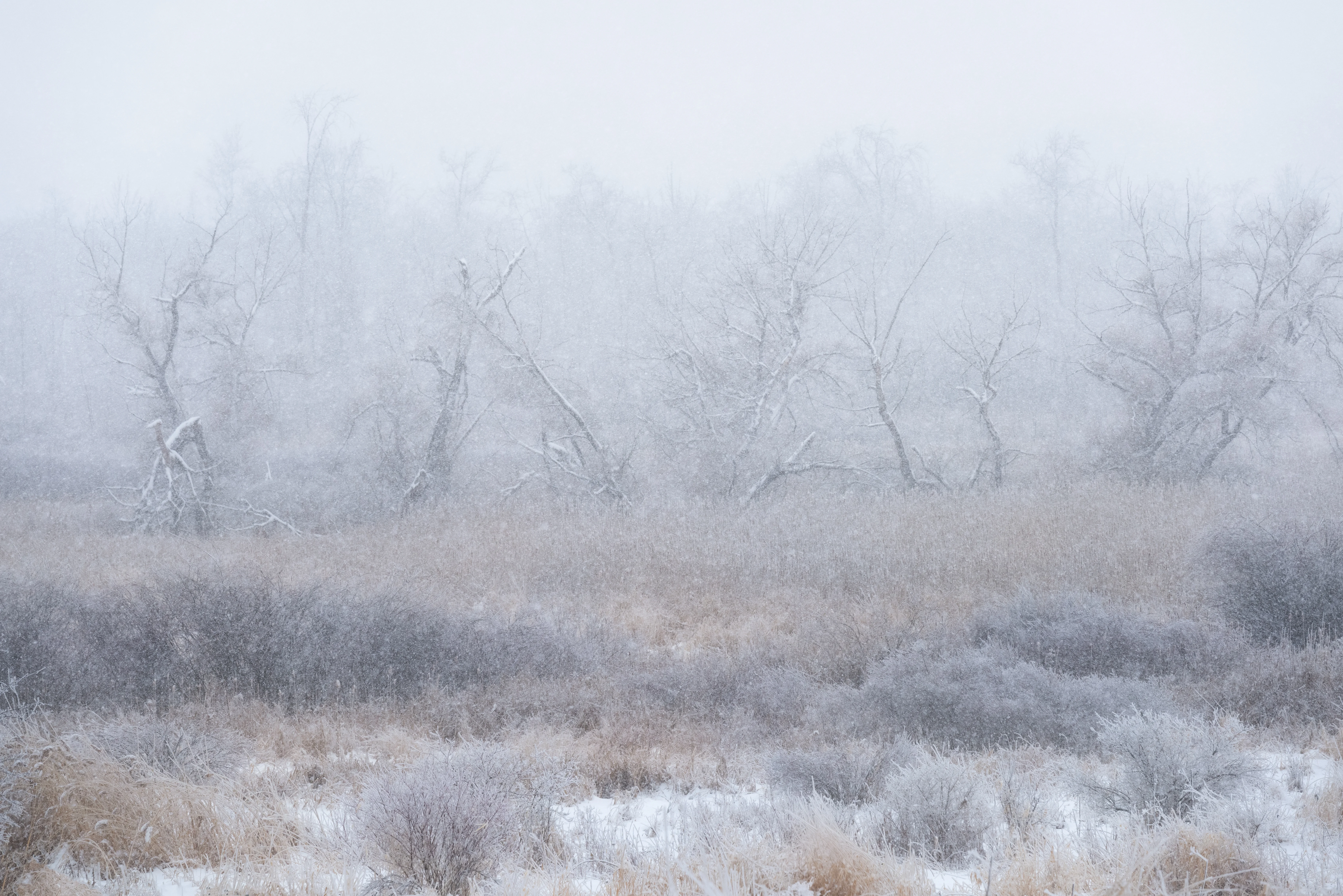 Vermont Winter
